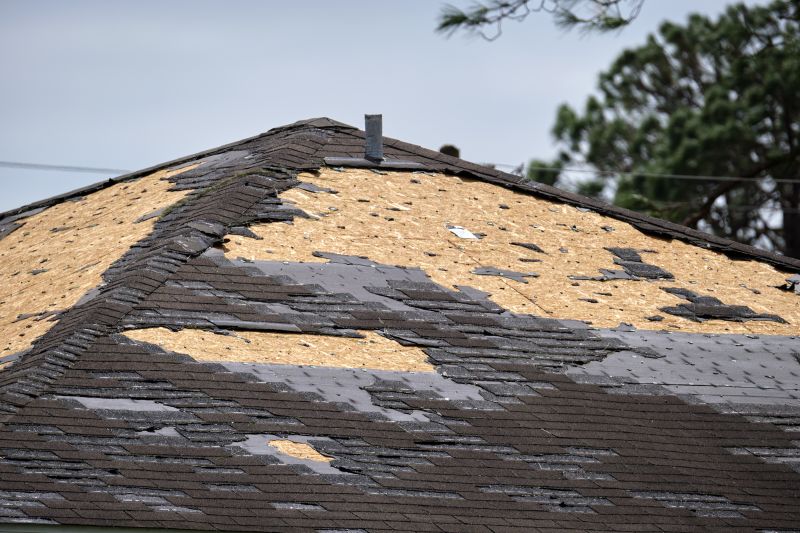 Weather Damage Restoration